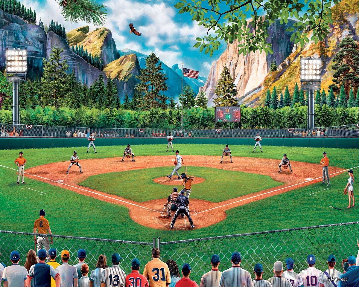 Field of Dreams (1858pz) - 1000 Piece Jigsaw Puzzle
